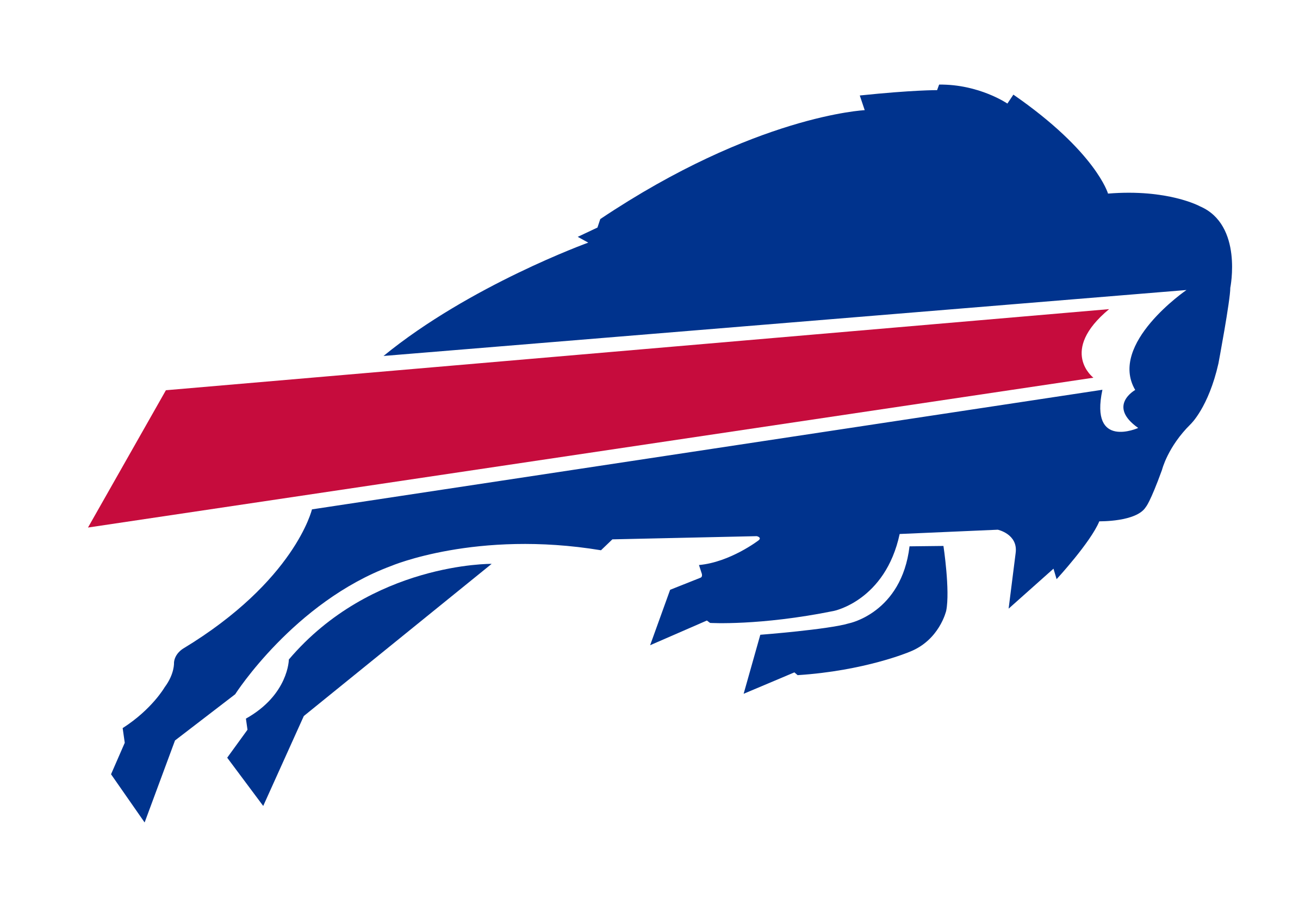 Buffalo logo