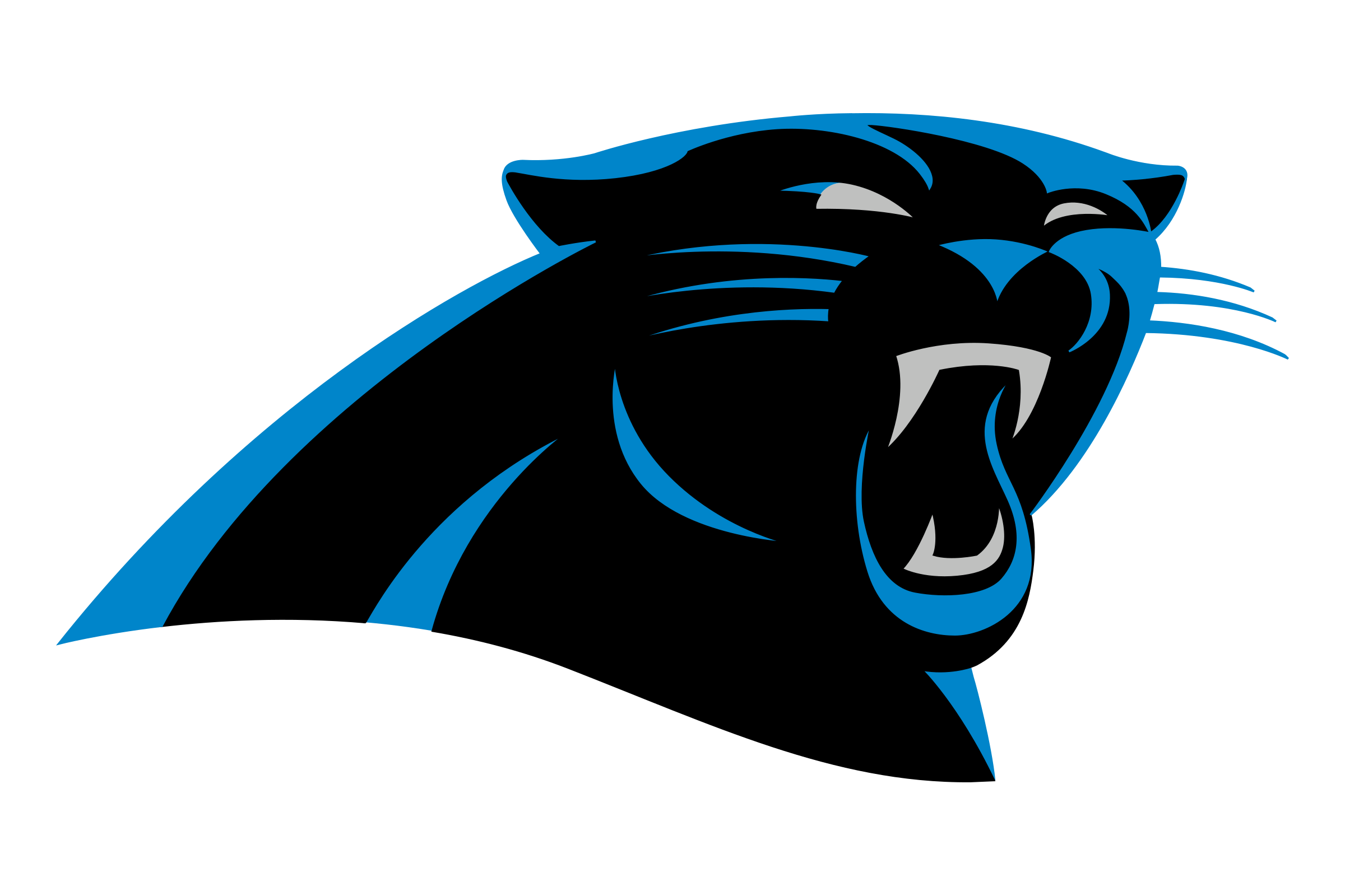 Carolina logo